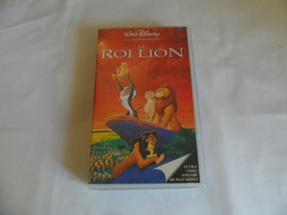 E13 " Le Roi Lion " - Cartoni Animati
