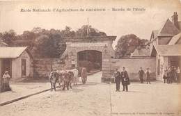 78-GRIGNON- ECOLE NATIONALE D'AGRICULTURE, ENTREE DE L'ECOLE - Grignon