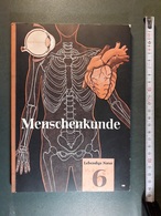 LIVRE ALLEMAND D'ANATOMIE  PHOTO DE TENNIS JAVELOT ANNEAU Athlétisme  ENFANT AVEC JOUET EN BOIS MENCHENKUNDE - Médecine & Santé