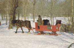 AMERIQUE,CANADA,QUEBEC,MONTREAL,HIVER,MONT ROYAL,ATTELAGE,RARE - Montreal