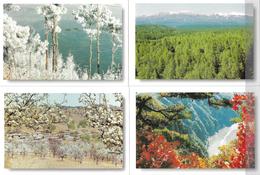 Chine Un Lot De 5 Cartes Neuves, Entiers Postaux Thème (les Saisons) - Postcards