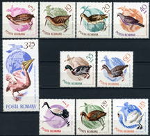 Romania 1965 MiNr. 2430 - 2439  Rumänien Birds 10v MNH**  9,50 € - Unused Stamps