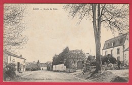 Delcampe - Libin -  Route De Poix - 190? ( Voir Verso ) - Libin