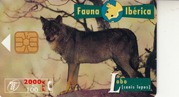 Fauna Ibérica Lobo - Sammlungen