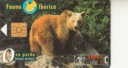 Fauna Ibérica Oso Pardo - Collezioni