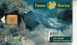 Fauna Ibérica Foca Monje - Colecciones