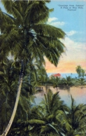 JAMAICA , T.P. NO CIRCULADA , A PEEP AT BLUE HOLE , PORTLAND - Jamaïque