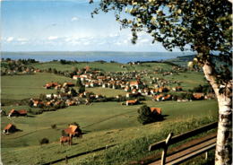 Speicher (App. A. Rh.) - Blick Zum Bodensee (32950) - Speicher