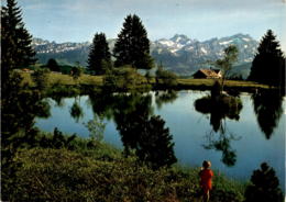 Auf Dem Gäbris Ob Gais (App.) - Blick Zum Alpstein (34560) * 23. 5. 1978 - Gais