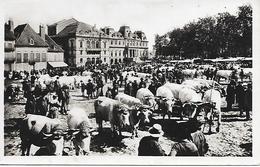 AUTUN ( 71 ) - La Place Du Champ De Mars Un Jour De Foire  ( C.P.SM. , Gd - Ft ) - Fairs