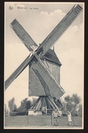 WESTREM DE MOLEN - Wetteren