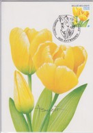 Buzin Tulipa 10-11-2003 - 2001-2010