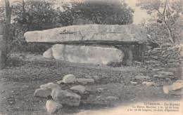 LIVERNON - Le Boyme - La Pierre Martine - Dolmen - Livernon