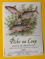 14264  - Pêche Au Coup  Côtes De Provence 1985 - Peces