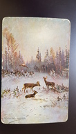 CHASSE - Cerf - Pheasant - Muller - Old Vintage Art Postcard 1910s Hunting / Chasse - Mueller, August - Munich