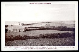 Cpa Du 22 Pleubian Le Sillon De Talberg Chaussée De Galets  - Phare Des Héaux   AVR20-161 - Pleubian