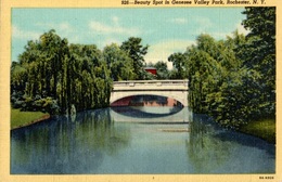 CPSM Beauty Spot In Genesee Valley Park, Rochester, N. Y. - Rochester