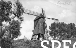 De Molen - Lembeke - Kaprijke