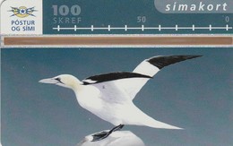 Iceland, ICE-D-14, 100 SKREF, Bird 3, 2 Scans. - Islanda