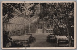 Lorch In Württemberg - S/w Waldkaffee Muckensee Wintergarten Mit Tanzdiele - Lorch