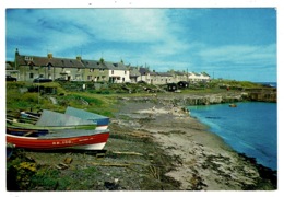 Ref 1361 - Postcard - Boats & Houses At Craster Harbour - Northumberland - Autres & Non Classés