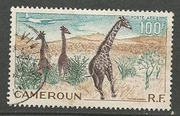 CAMEROUN PA N° 47 OBL - Airmail