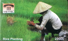 VIÊT- NAM  -  Cards  -  VIETTEL  -  FAKE  -  Rice Planting -  10000 D - Viêt-Nam