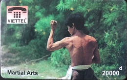 VIÊT- NAM  -  Cards  -  VIETTEL  -  FAKE  -  Martial Arts  -  10000 D - Viêt-Nam