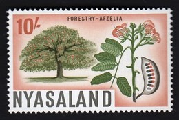 Nyasaland 1964 / Local Motives, Trees, Forestry, Afzelia / MNH / Michel 134 - Trees