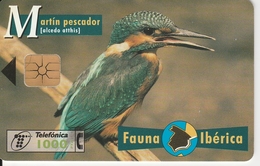 641. ESPAGNE. MARTIN PECHEUR - Pájaros Cantores (Passeri)