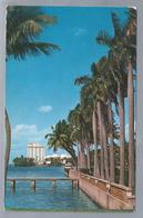 US.- FLORIDA, PALM BEACH. Looking Along Lake Worth Toward The Flagler Museum. 1962 - Palm Beach