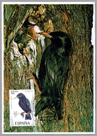 ESTORNINO NEGRO - Stornus Unicolor. El Puerto De Santa Maria, Cadiz, Andalucia, 1985 - Obliteraciones & Sellados Mecánicos (Publicitarios)