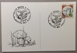 Delcampe - 1993 NUORO MOSTRA DEL FUNGO / Pilze / Muschroom - Demonstrationen