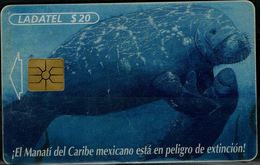 MEXICO 2000 PHONECARD SEA TURTLES USED VF!! - Tortues