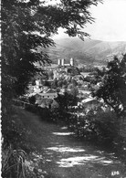 Delcampe - 09 - Foix - Vue Panoramique - Foix