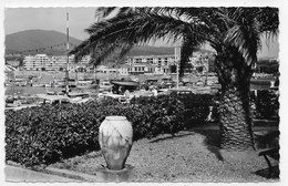 Delcampe - SAINTE MAXIME SUR MER EN 1961 - N° 28 - VUE SUR LE PORT - FORMAT CPA VOYAGEE - Sainte-Maxime
