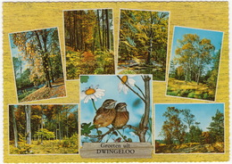Groeten Uit Dwingeloo - (1969) - Dwingeloo