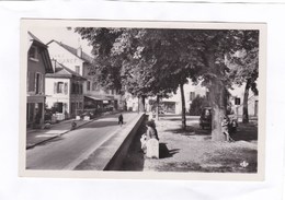 CPSM.  14 X 9  -  31 ST-JULIEN-en-GENEVOIS. - La Promenade Et L'Hôtel De France - Saint-Julien-en-Genevois