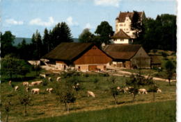 Schloß Sonnenberg, Stettfurt TG (811) * 9. 5. 1969 - Stettfurt