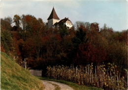 Schloss Weinfelden (930) - Weinfelden