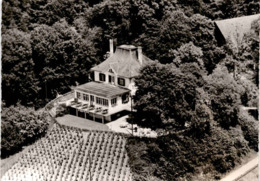 Flugaufnahme Restaurant Thurberg Ob Weinfelden (1960/26) - Weinfelden