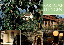 Kartause Ittingen - 5 Bilder *13. 5. 1985 - Sonstige & Ohne Zuordnung