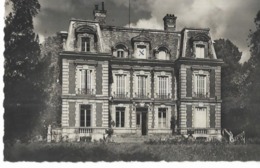 95   LOUVRES .  LE CHATEAU - Louvres