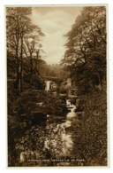 Ref 1363 - Early Postcard - Jesmond Dene - Newcastle On Tyne - Northumberland - Newcastle-upon-Tyne