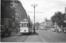 BELGIQUE   Photographie Tramway électrique TUAB Avenue Du Jardin Botanique 1950 - Autres & Non Classés