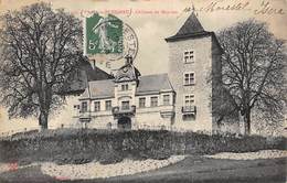 Creys En Piusigneu         38         Château De Mérieu      (Voir Scan) - Sonstige & Ohne Zuordnung