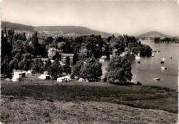 Campingplatz Bei Mammern (TG) Am Untersee (33058) - Mammern