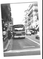 TOULOUSE (31) Photographie Autobus Beau Plan Vers 1970 - Toulouse