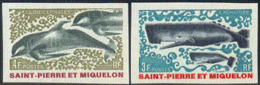 ST. PIERRE & MIQUELON (1969) Cetaceans. Set Of 2 Imperforates. Scott Nos 390-1, Yvert Nos 392-3. - Non Dentelés, épreuves & Variétés