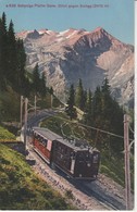 Suisse - GUNDLISCHWAND - Schynige Platte Bahn - Blick Gegen Sulegg - Gündlischwand